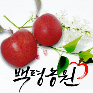 백령사과농원,선물용사과/사과10키로/부사/과수 선택