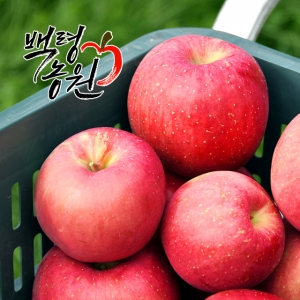 백령사과농원,가정용흠과/사과5키로/부사/24과내외