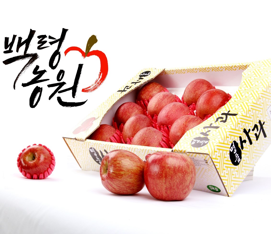 백령사과농원,선물용사과/사과5키로/부사/16~17과