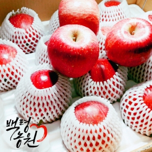 백령사과농원,선물용사과/사과5키로/부사/13과